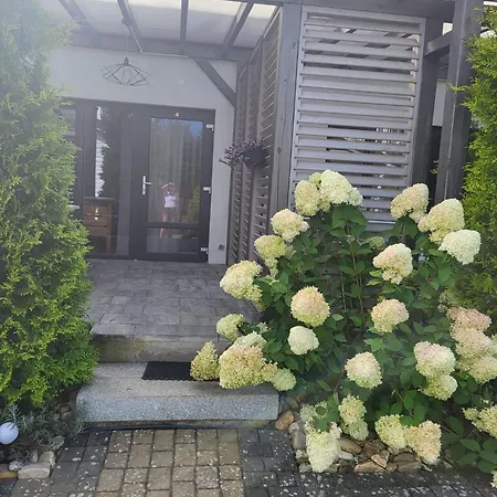 Lawendowy Zakatek *