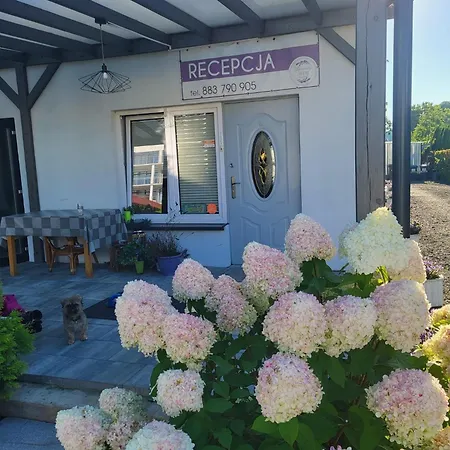 Lawendowy Zakatek - Delfin Homestay