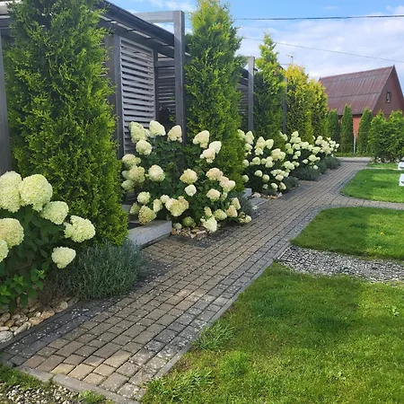 Lawendowy Zakatek Homestay *