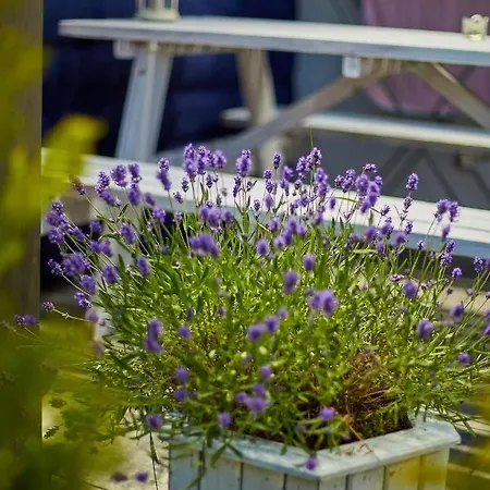 ホームステイ Lawendowy Zakatek シャノジェンティ