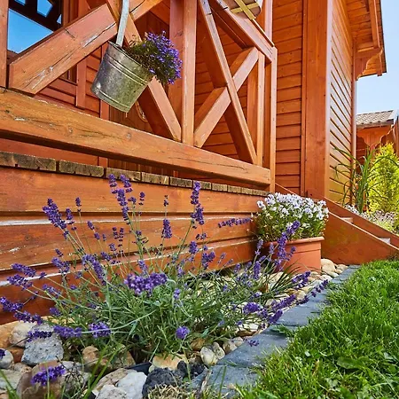 Lawendowy Zakatek ホームステイ