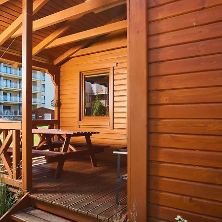 Lawendowy Zakatek * 시아노제티