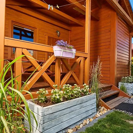 Lawendowy Zakatek * Sianozety