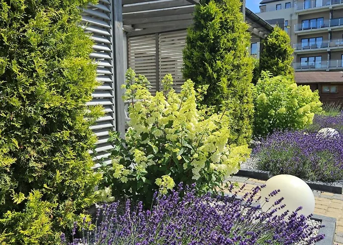 Lawendowy Zakatek 民宿 辛安诺泽蒂