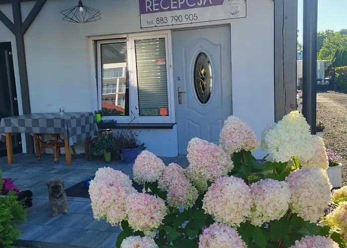 Lawendowy Zakatek 民宿