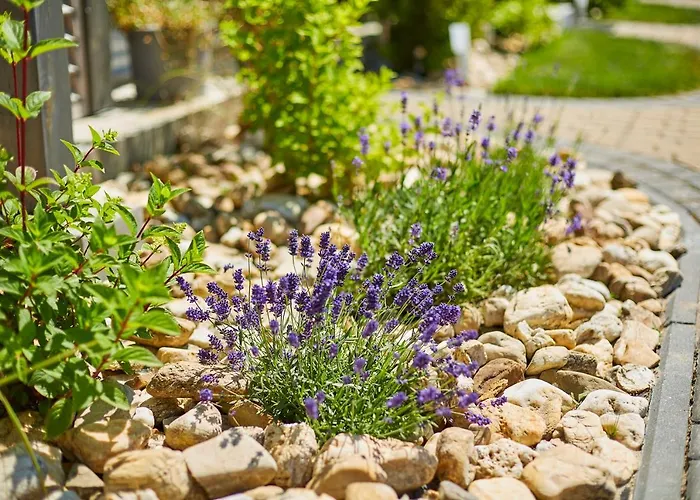 Lawendowy Zakatek 民宿 *