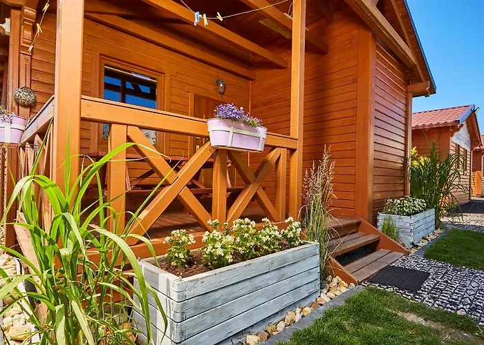 Lawendowy Zakatek * 辛安诺泽蒂